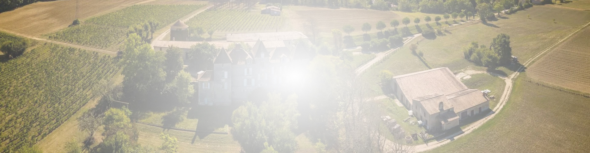 Découvrez nos vins image